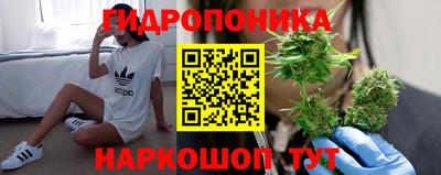 не бодяженный Будённовск