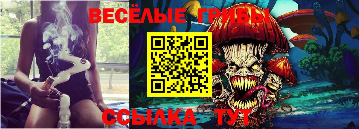 Псилоцибиновые грибы мухоморы  Галлюциногенные грибы мицелий  купить наркотики цена  Унеча  Вход с VPN 